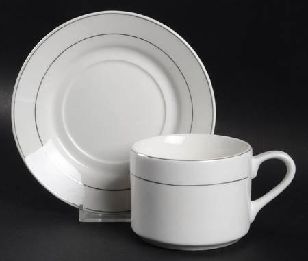 Tuxedo Platinum Flat Cup & Saucer Set