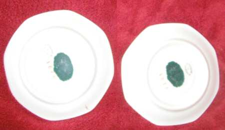 1876 Saucer