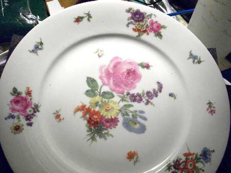 GEI4 Dinner Plate