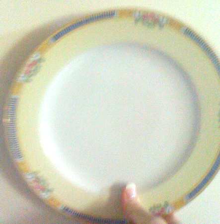 GOC62 Dinner Plate