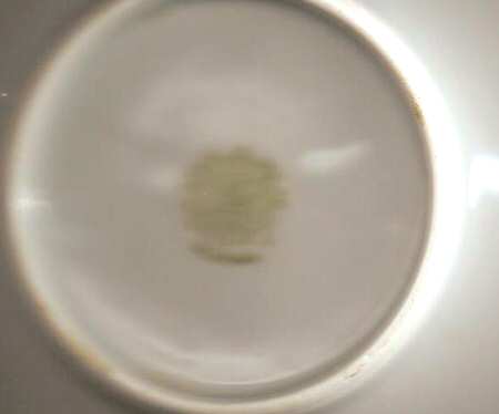 GMY265 Saucer for Chocolate Cup