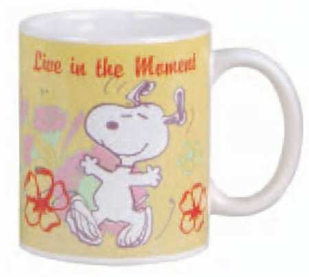 Snoopy's Life Lessons Mug