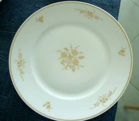 GIN315 Dinner Plate