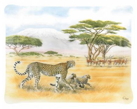 Safari 19" Acrylic Rectangular Tray