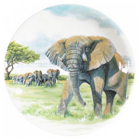 Safari Salad/Dessert Plate