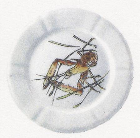 Grand Crustaces  (Scallope Rim) Salad Plate