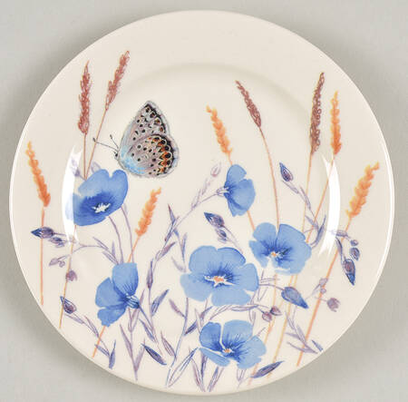 Azur Coaster