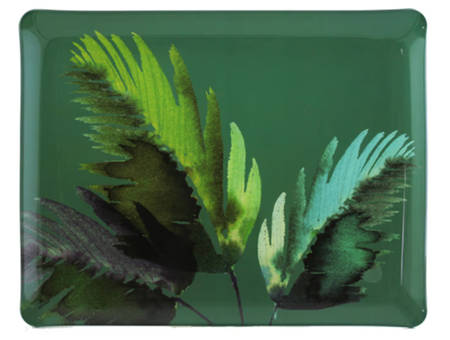 Jardins Extraordinaires 11" Acrylic Rectangular Tray