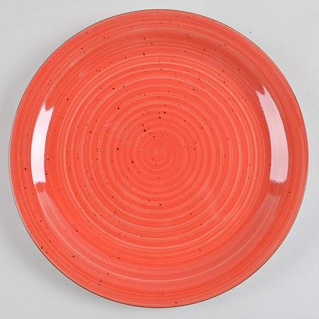 Color Speckle Dinner Plate