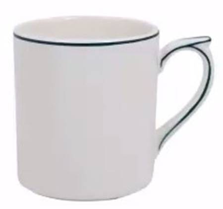 Filets Acapulco (Ocean Blue) Mug