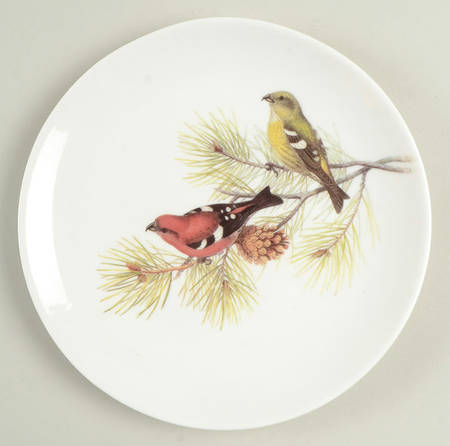 Winter Bird Salad Plate