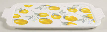 Organic Lemon Lid for Rectangular Baker