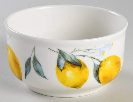 Organic Lemon 16 Oz Round Plastic Microwave Bowl No Vent Lid