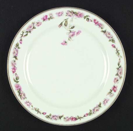 The Amstel Luncheon Plate