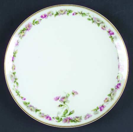 The Amstel Coupe Luncheon Plate