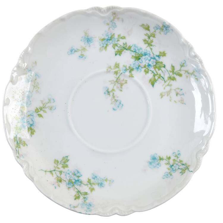 Arcadia (New York) Saucer