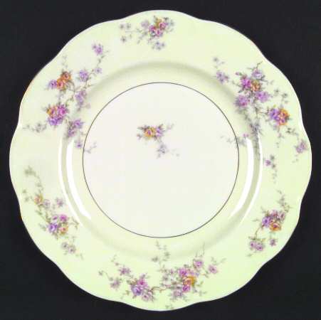 Arcadia (New York) by Haviland
