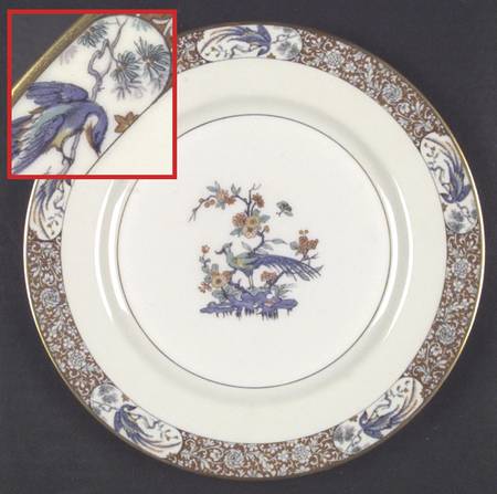 Bird of India by Haviland