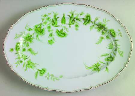 Carette 14" Oval Serving Platter by Haviland