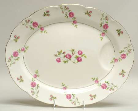 Delaware (New York) 16" Oval Serving Platter