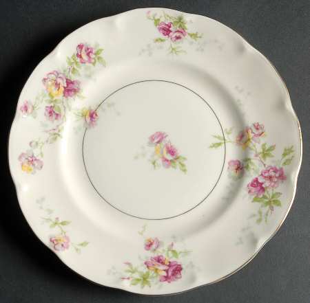 Dorset Salad Plate by Haviland