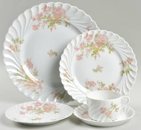 Dumont 5 Piece Place Setting by Haviland