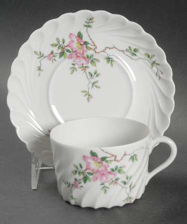 Eglantine Flat Cup & Saucer Set by Haviland