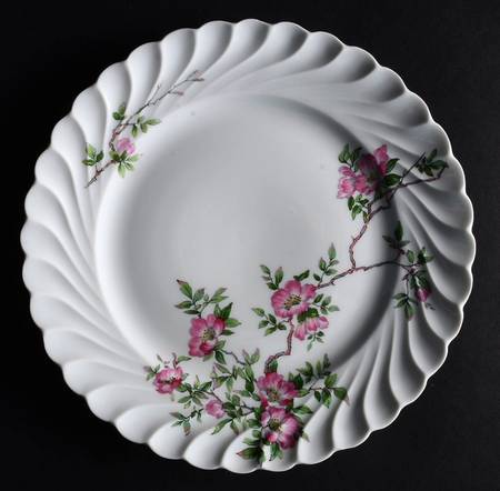 Eglantine Salad Plate by Haviland