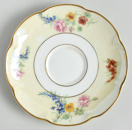 Gladiola (Cream Background) Saucer by Haviland