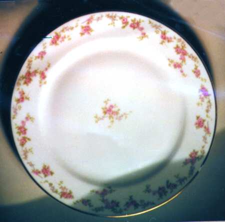 Schleiger 1243 by Haviland
