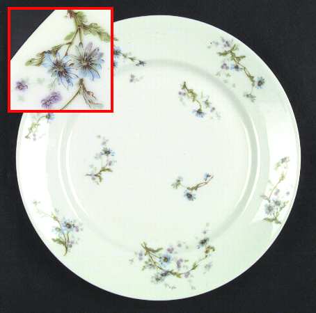 Schleiger 1034-1 by Haviland