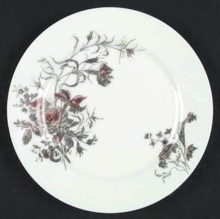 Schleiger 77-12 by Haviland