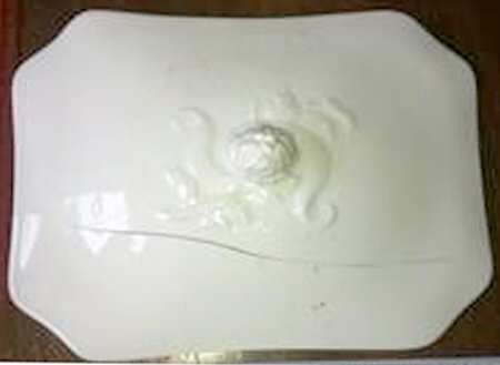H20 Lid for Rectangular Vegetable