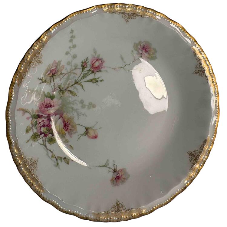 H225 Coupe Dinner Plate