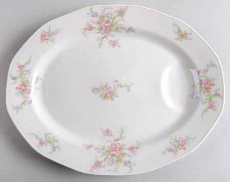 H257 13" Oval Serving Platter by Haviland