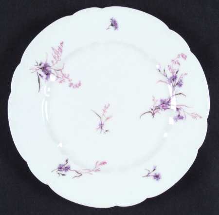 Schleiger 435-2 by Haviland