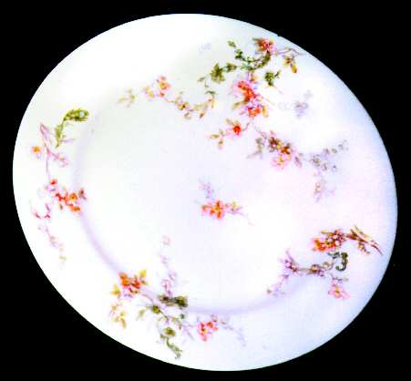 H274 Dinner Plate