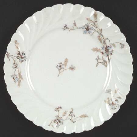 Schleiger 73-6 by Haviland