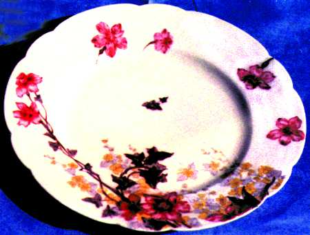H320 Dinner Plate