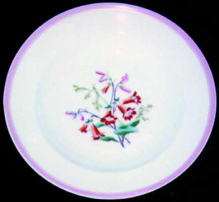 H349 Dinner Plate