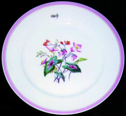 H349 Dinner Plate