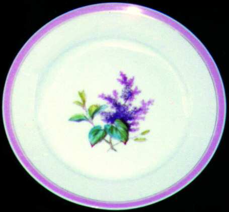 H349 Dinner Plate