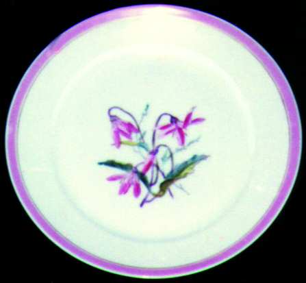 H349 Dinner Plate