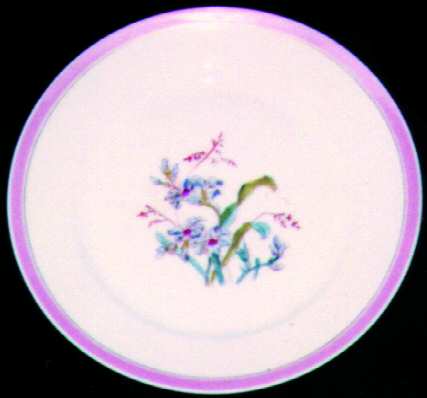 H349 Dinner Plate