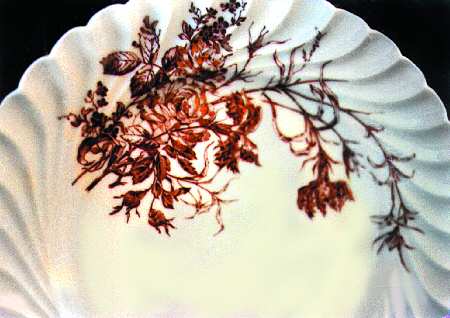 Schleiger 77-20 Dinner Plate