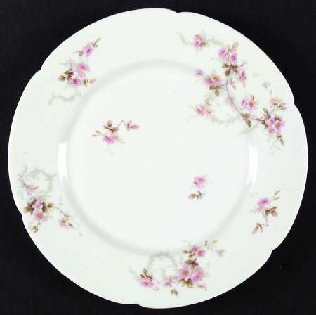 Schleiger 141-4 by Haviland