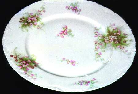 Schleiger 315-1 by Haviland
