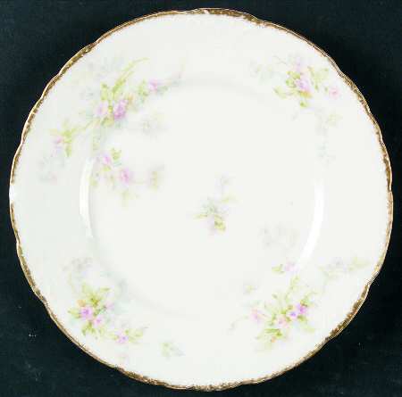 Schleiger 310-4 by Haviland