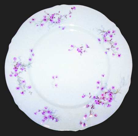 Schleiger 1025-5 by Haviland