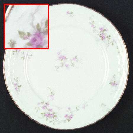 Schleiger 321-6 by Haviland